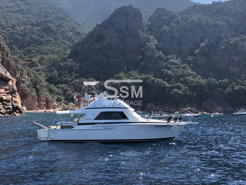 Bertram 37 convertible