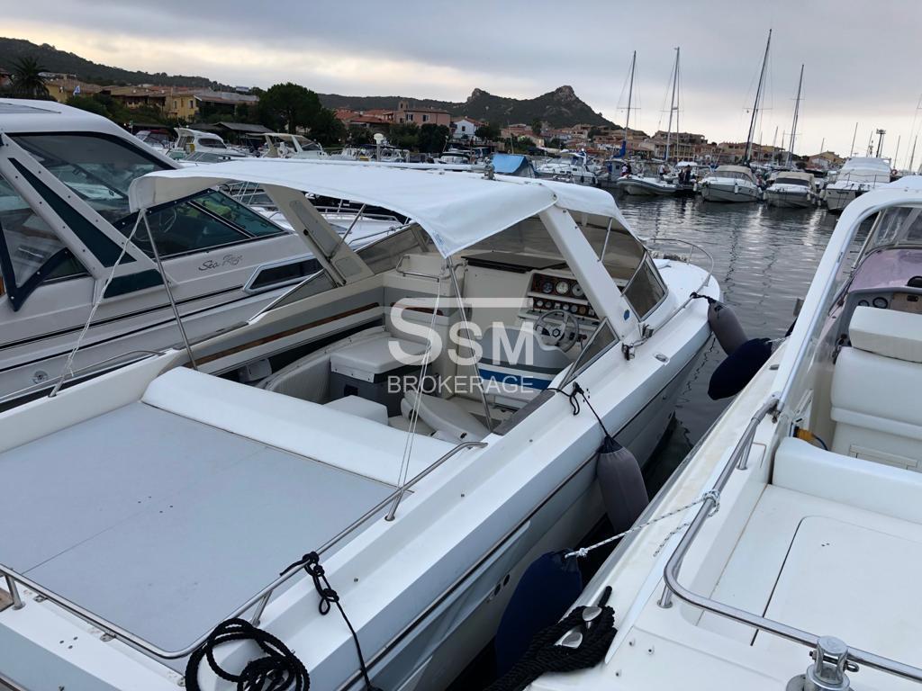 Cranchi endurance 31
